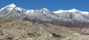 Mustang Trek